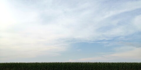 field and blue sky