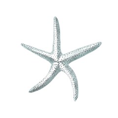 Starfish watercolor painting isolated on white background. Watercolor illustration , sea animal drawing.