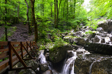 Klauser Wasserfall bei Mellau, Bezirk Bregenz in Vorarlberg
