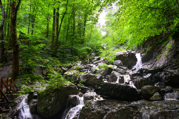 Klauser Wasserfall bei Mellau, Bezirk Bregenz in Vorarlberg