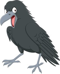 Cartoon angry crow on white background 