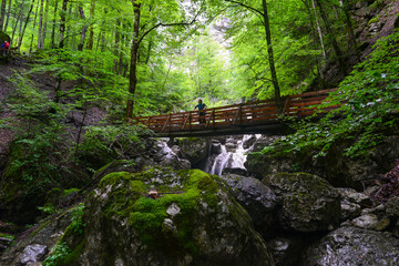 Klauser Wasserfall bei Mellau, Bezirk Bregenz in Vorarlberg