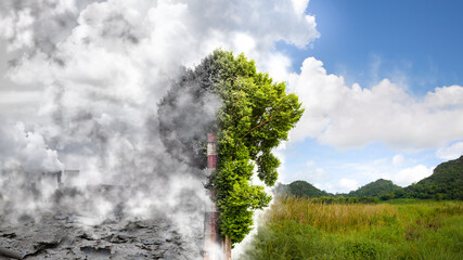 The climate on both sides of the tree changes differently. There is a green nature and the other...