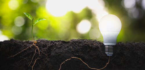 Young seedlings with long roots are growing in the soil with the bulbs. energy saving concept for the environment