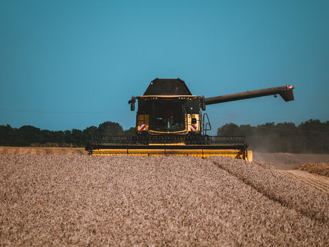 moissonneuse-batteuse qui r&eacute;colte le bl&eacute;