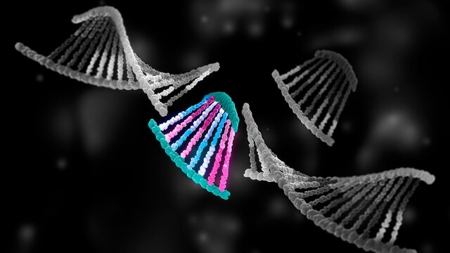 Synthetic biology, conceptual illustration