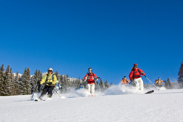 Eine Gruppe Skifahrer bef&auml;hrt gemeinsam einen pulvrigen Hang