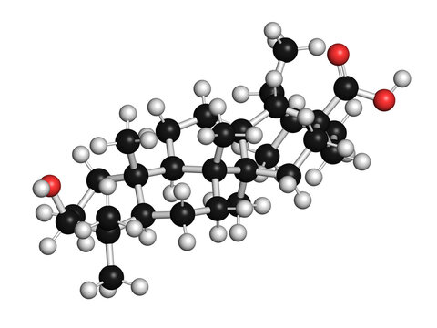 Ursolic acid molecule, illustration