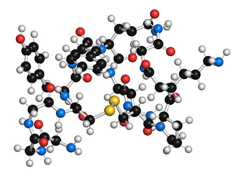 Terlipressin drug molecule, illustration