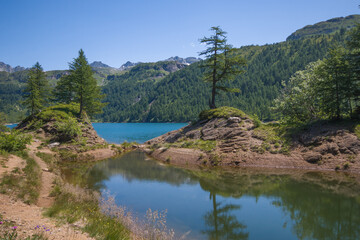 Fototapeta premium Amazing view of alpine lake surrounded by forest in Piemonte, Italy