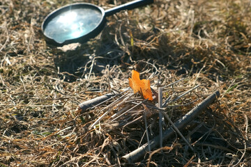 Magnifying glass and wooden sticks for who is trying to set bonfire on nature. Experiments in nature. The sun's rays pass through the magnifying glass and create a fire.