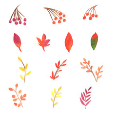 Fototapeta na wymiar Different colorful gouache leaves and berries on white background