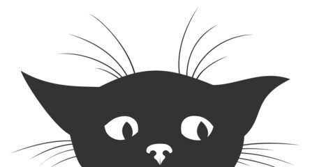 The Silhouette of black kitten.