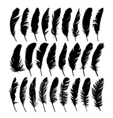 Set feathers of various birds.  © designer_an