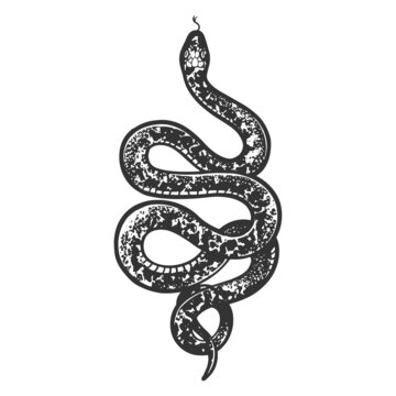 Snake tattoo sketch raster illustration