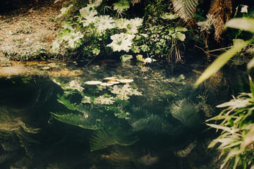 in the water