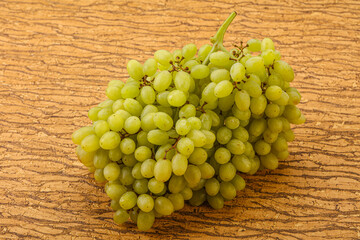 Green grape branch over background