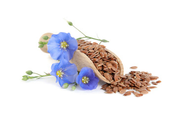 Obraz na płótnie Canvas Wooden scoop with flax flowers and seeds on white background