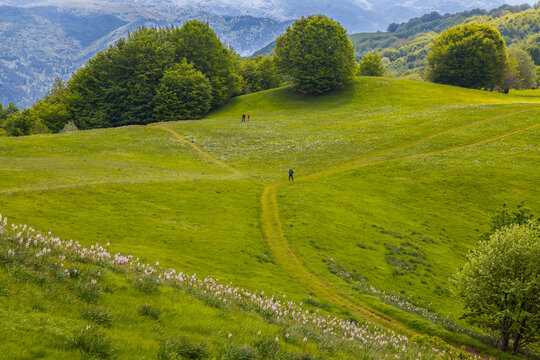 Natural landscape in springtime on Pian della Cavalla mount in Liguria, in the municipality of Fascia, Genoa province, Italy