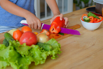 Close-up woman hands chopping cucumber vegetables by knife