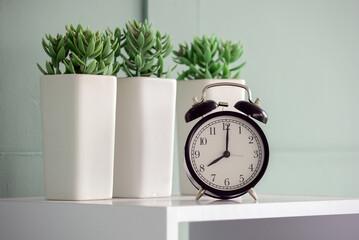 good morning concept - modern alarm clock and houseplant on bedside table