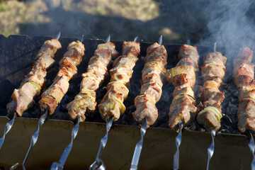 Marinated shashlik kebab preparing on a barbecue grill over charcoal