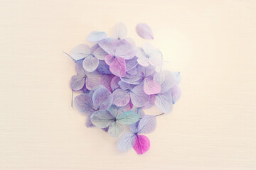 Top view image of Hydrangea flowers composition over white wooden background .Flat lay
