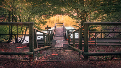 Wooden walkway into the lake