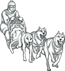 Sled dogs, animal helpers. Linear drawing of dogs driving a man, traditions of the northern peoples, black and white drawing.