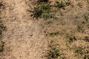 soil and grass