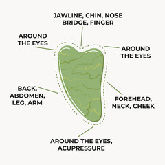 Infographic of how to use gua sha scraping massage stone heart shaped is made of green jade. Home beauty skin care routine and Chinese skin care concept. Hand drawn vector illustration.