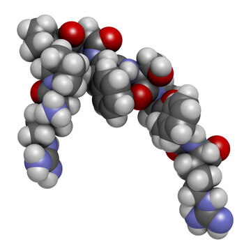 Bradykinin peptide molecule, illustration