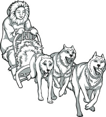 Fototapeta na wymiar Sled dogs, animal helpers. Linear drawing of dogs driving a man, traditions of the northern peoples, black and white drawing.