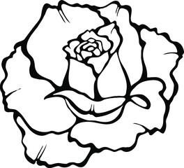 Vector image of a rose. Black outline on a white background.