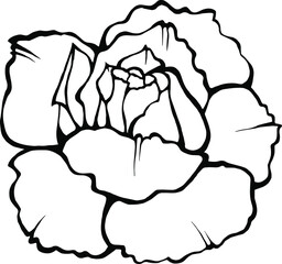 Vector image of a rose. Black outline on a white background.