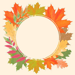 Vector illustration. Frame made of autumn leaves on a light background.