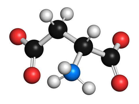 D-aspartic acid amino acid molecule, illustration