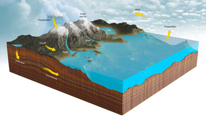Water cycle, illustration