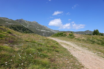 Fototapeta na wymiar Sentiero di montagna 1