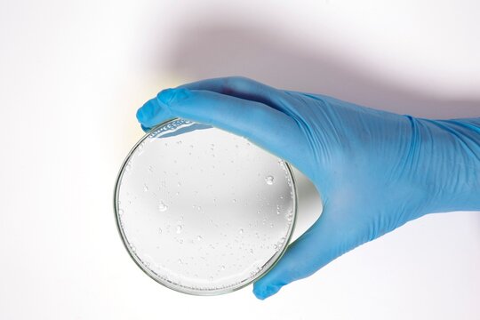 Hand holding a petri dish