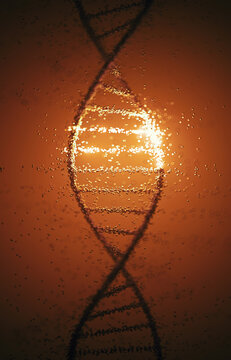Genetic engineering, conceptual illustration
