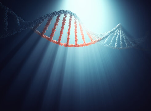 DNA molecule, illustration