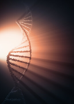 DNA molecule, illustration