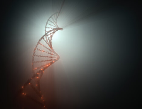 DNA molecule, illustration