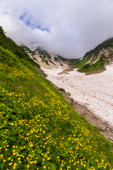 夏の白馬大雪渓トレッキング