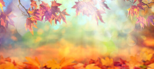 Obraz na płótnie Canvas orange fall leaves, autumn natural background