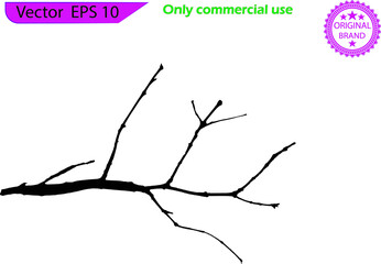 Dry tree branch on transparent background. Hand drawn tree branch. Vector black silhouette of a bare tree. Plant with various tracery forms.