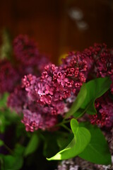 Flowers with bokeh and blur effect