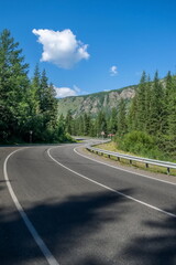 Asphalt highway among the spruce forest leading to the mountains in the Altai Mountains