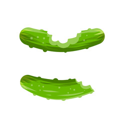Bitten cucumber. Food waste. Green vegetable. Set of flat cartoon illustration